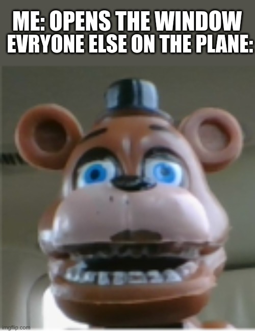 freddy is councernd | ME: OPENS THE WINDOW; EVRYONE ELSE ON THE PLANE: | image tagged in five nights at freddys | made w/ Imgflip meme maker