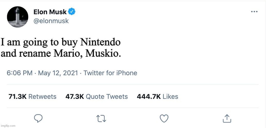 Muskio and Elon-uigi | I am going to buy Nintendo and rename Mario, Muskio. | image tagged in elon musk blank tweet | made w/ Imgflip meme maker