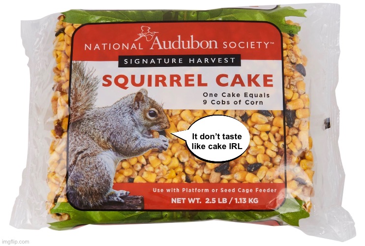 Is It Cake? | It don’t taste like cake IRL | image tagged in funny memes,fake products,squirrel | made w/ Imgflip meme maker