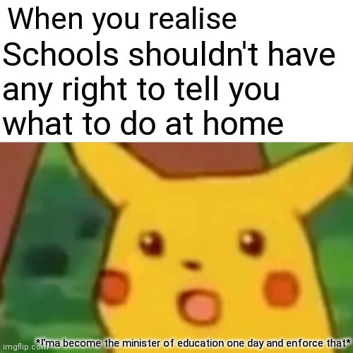 Why homework? It was created as a punishment! | When you realise; Schools shouldn't have
any right to tell you
what to do at home; *I'ma become the minister of education one day and enforce that* | image tagged in memes,surprised pikachu | made w/ Imgflip meme maker