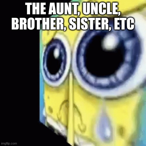 Crying spongebob gif | THE AUNT, UNCLE, BROTHER, SISTER, ETC | image tagged in crying spongebob gif | made w/ Imgflip meme maker