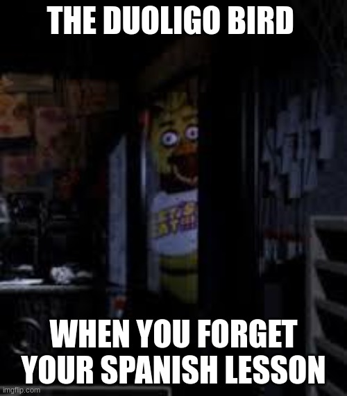 Chica Looking In Window FNAF | THE DUOLIGO BIRD; WHEN YOU FORGET YOUR SPANISH LESSON | image tagged in chica looking in window fnaf | made w/ Imgflip meme maker