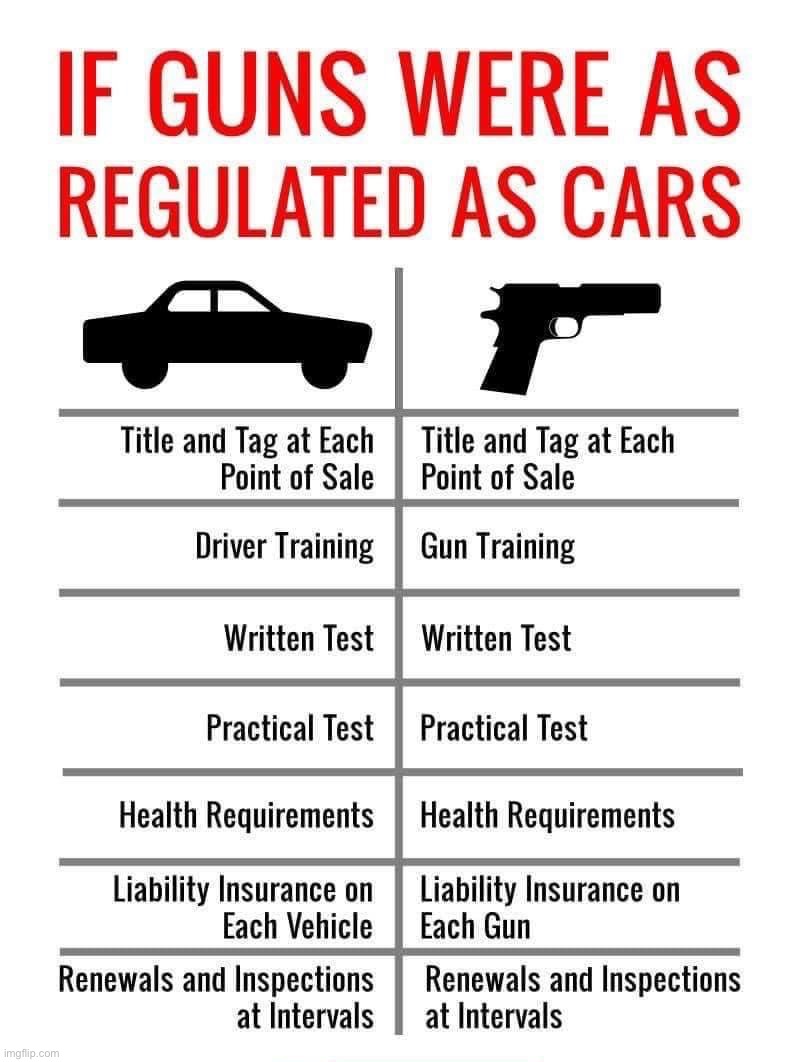 Guns and car regulation | image tagged in guns and car regulation | made w/ Imgflip meme maker