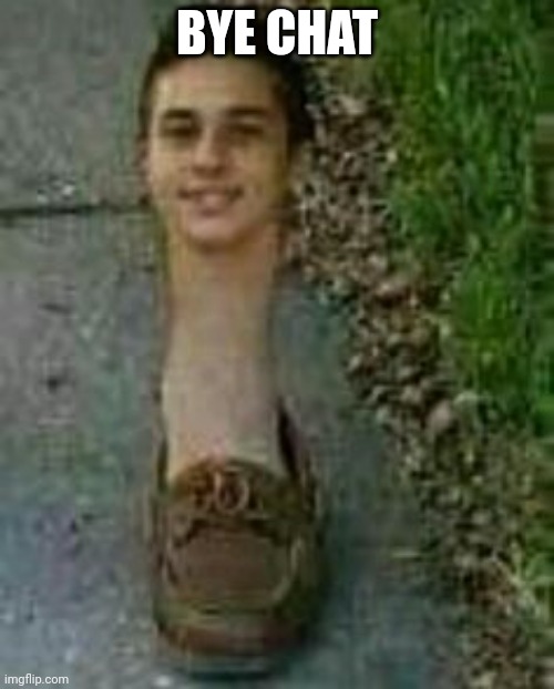 s h o e | BYE CHAT | image tagged in s h o e | made w/ Imgflip meme maker
