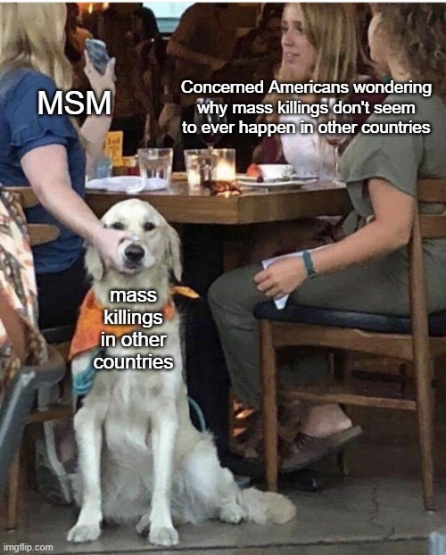 Everybody knows there are no other countries | Concerned Americans wondering why mass killings don't seem to ever happen in other countries; MSM; mass killings in other countries | image tagged in lady holding dog mouth closed | made w/ Imgflip meme maker