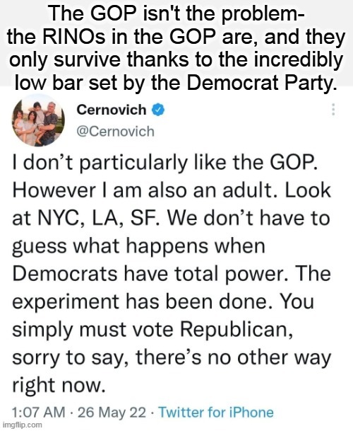 Here's hoping those on the fence finally get it- Democrats are really bad for your country, and your wallet. | image tagged in liberal vs conservative,2022 | made w/ Imgflip meme maker