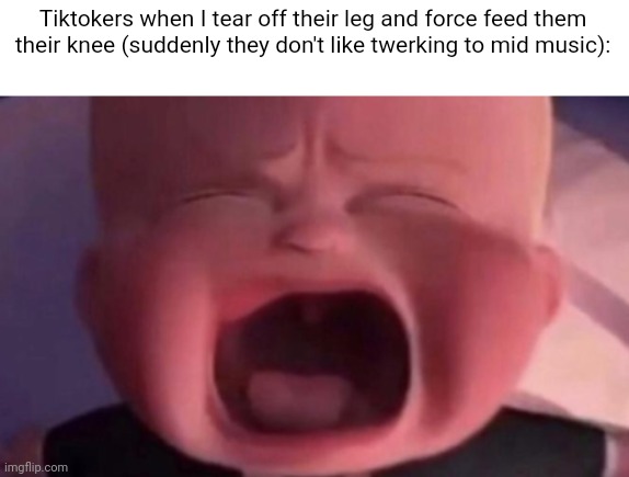 A meme idea I had | Tiktokers when I tear off their leg and force feed them their knee (suddenly they don't like twerking to mid music): | image tagged in e | made w/ Imgflip meme maker