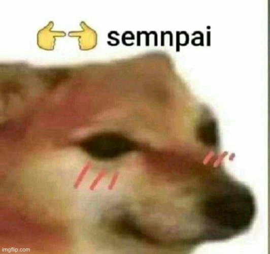 @me | image tagged in semnpai | made w/ Imgflip meme maker