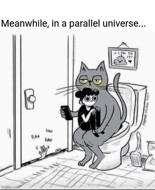 Pet human | Meanwhile, in a parallel universe... | image tagged in parallel universe,human,pets,cat,people | made w/ Imgflip meme maker