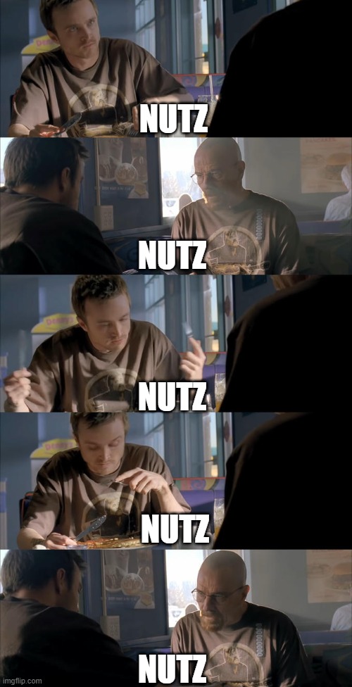 Jesse WTF are you talking about? | NUTZ NUTZ NUTZ NUTZ NUTZ | image tagged in jesse wtf are you talking about | made w/ Imgflip meme maker