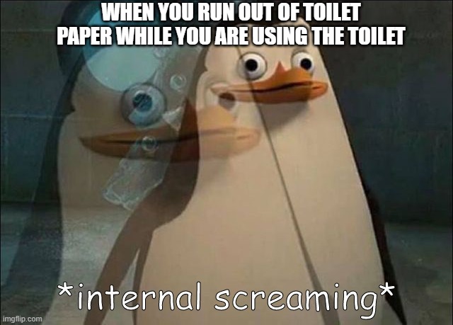 toilet paper | WHEN YOU RUN OUT OF TOILET PAPER WHILE YOU ARE USING THE TOILET | image tagged in private internal screaming,meme | made w/ Imgflip meme maker