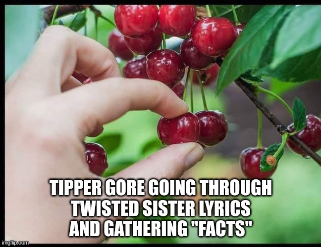Cherry Picking Facts | TIPPER GORE GOING THROUGH
TWISTED SISTER LYRICS
AND GATHERING "FACTS" | image tagged in congress,music,parental,hard rock,twisted sister,culture | made w/ Imgflip meme maker