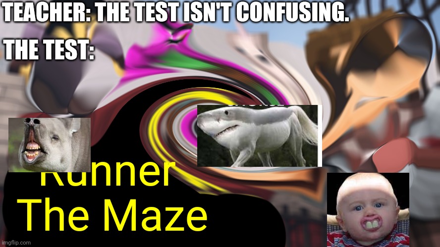 The Test isn't Confusing | TEACHER: THE TEST ISN'T CONFUSING. THE TEST: | image tagged in tests,funny memes,maze runner,minecraft | made w/ Imgflip meme maker