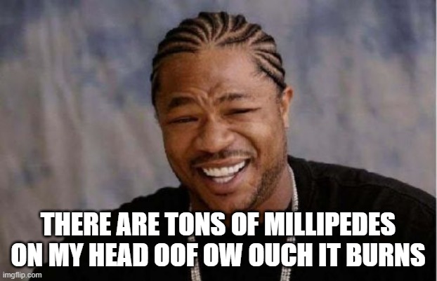 oof ow ouchy my head | THERE ARE TONS OF MILLIPEDES ON MY HEAD OOF OW OUCH IT BURNS | image tagged in memes,yo dawg heard you | made w/ Imgflip meme maker