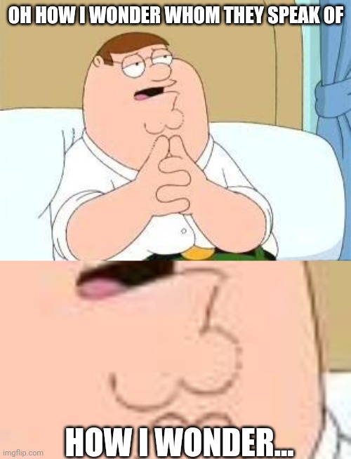 OH HOW I WONDER WHOM THEY SPEAK OF HOW I WONDER... | image tagged in peter griffin go on | made w/ Imgflip meme maker