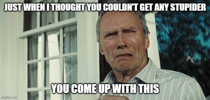 Clint Eastwood WTF | JUST WHEN I THOUGHT YOU COULDN'T GET ANY STUPIDER YOU COME UP WITH THIS | image tagged in clint eastwood wtf | made w/ Imgflip meme maker