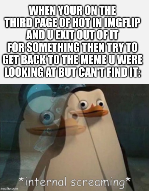 i hate when this happens | WHEN YOUR ON THE THIRD PAGE OF HOT IN IMGFLIP AND U EXIT OUT OF IT FOR SOMETHING THEN TRY TO GET BACK TO THE MEME U WERE LOOKING AT BUT CAN'T FIND IT: | image tagged in internal screaming | made w/ Imgflip meme maker