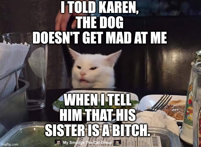 I TOLD KAREN, THE DOG DOESN'T GET MAD AT ME; WHEN I TELL HIM THAT HIS SISTER IS A BITCH. | image tagged in smudge the cat | made w/ Imgflip meme maker