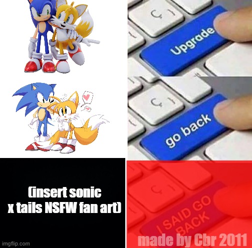 GO BACK RIGHT NOW YOU SONAILS SHIPPER |  (insert sonic x tails NSFW fan art); made by Cbr 2011 | image tagged in i said go back | made w/ Imgflip meme maker