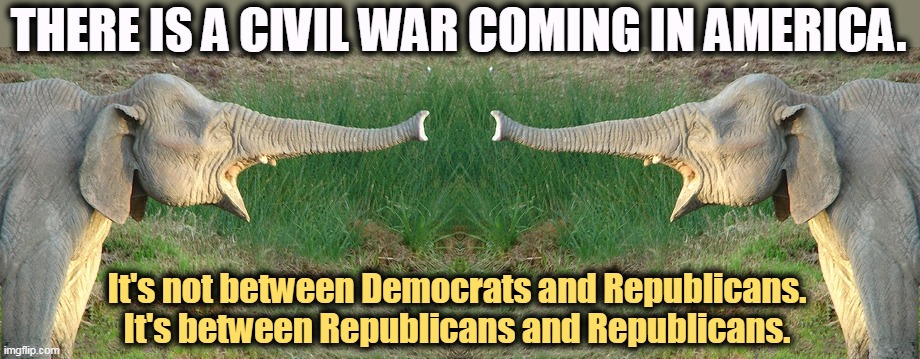 THERE IS A CIVIL WAR COMING IN AMERICA. It's not between Democrats and Republicans. It's between Republicans and Republicans. | image tagged in republicans,fighting,gop,civil war | made w/ Imgflip meme maker
