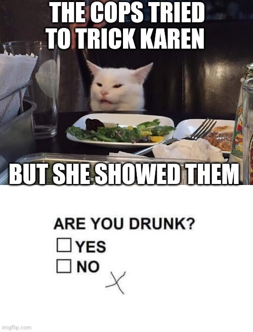 THE COPS TRIED TO TRICK KAREN; BUT SHE SHOWED THEM | image tagged in smudge the cat,woman yelling at cat | made w/ Imgflip meme maker