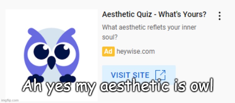 Ah yes my aesthetic is owl | made w/ Imgflip meme maker