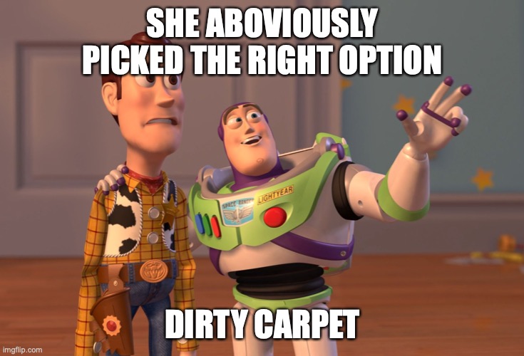 X, X Everywhere Meme | SHE ABOVIOUSLY PICKED THE RIGHT OPTION DIRTY CARPET | image tagged in memes,x x everywhere | made w/ Imgflip meme maker