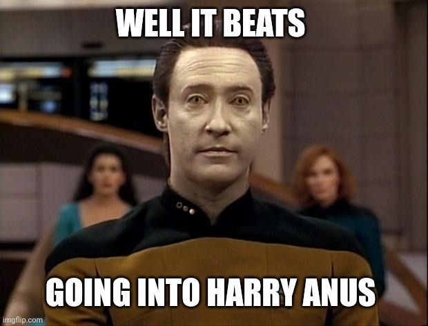 Star trek data | WELL IT BEATS GOING INTO HARRY ANUS | image tagged in star trek data | made w/ Imgflip meme maker