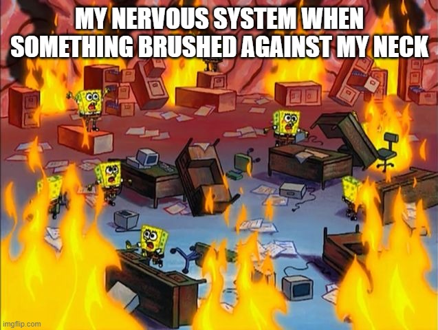 spongebob fire | MY NERVOUS SYSTEM WHEN SOMETHING BRUSHED AGAINST MY NECK | image tagged in spongebob fire | made w/ Imgflip meme maker