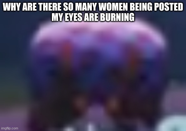 BBQ Bunger Staring | WHY ARE THERE SO MANY WOMEN BEING POSTED
MY EYES ARE BURNING | image tagged in bbq bunger staring | made w/ Imgflip meme maker