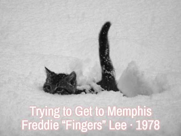 Snow Cat | Trying to Get to Memphis
Freddie “Fingers” Lee · 1978 | image tagged in snow cat,slavic,freddie fingers lee,freddie fingaz,blacklabel jedih,trying to get to memphis | made w/ Imgflip meme maker