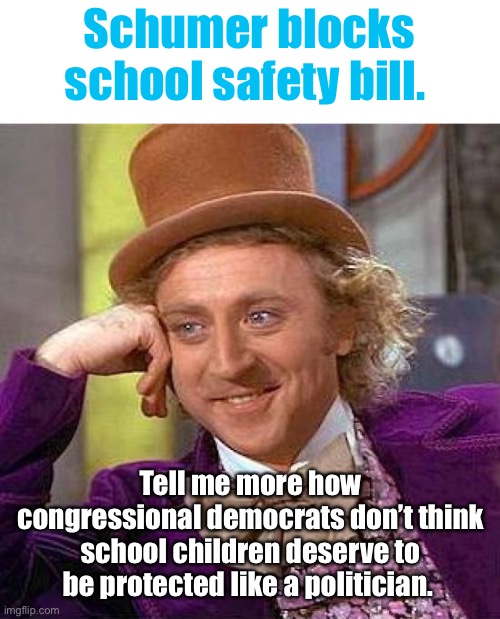 Congressional democrats only think they deserve protection | Schumer blocks school safety bill. Tell me more how congressional democrats don’t think school children deserve to be protected like a politician. | image tagged in memes,creepy condescending wonka,politics | made w/ Imgflip meme maker