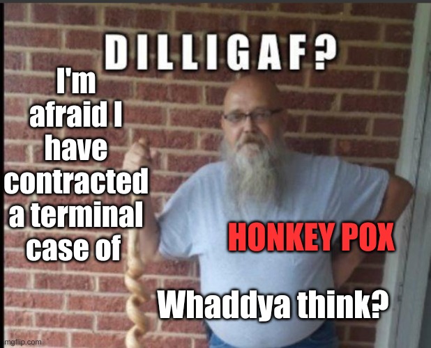  I'm afraid I have contracted a terminal case of; HONKEY POX; Whaddya think? | image tagged in pox | made w/ Imgflip meme maker