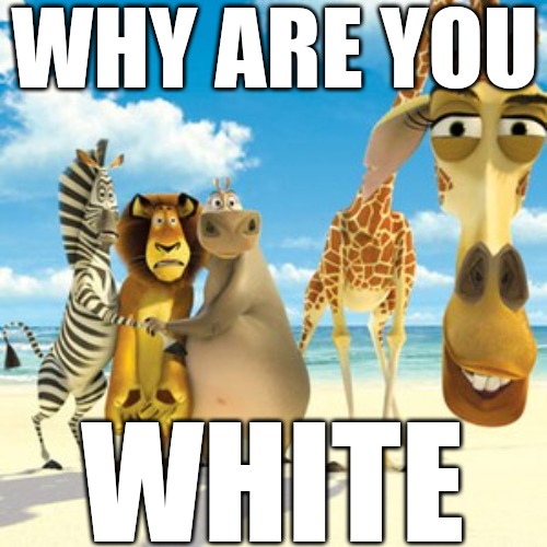 why are you white | WHY ARE YOU WHITE | image tagged in why are you white | made w/ Imgflip meme maker