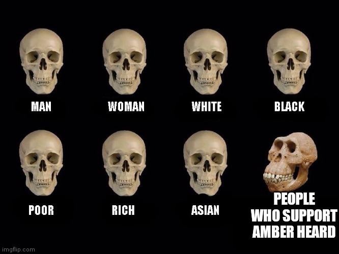 empty skulls of truth | PEOPLE WHO SUPPORT AMBER HEARD | image tagged in empty skulls of truth | made w/ Imgflip meme maker