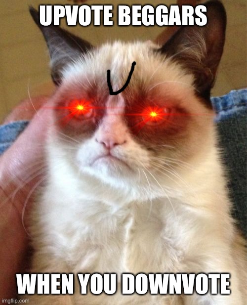 Grumpy Cat | UPVOTE BEGGARS; WHEN YOU DOWNVOTE | image tagged in memes,grumpy cat | made w/ Imgflip meme maker