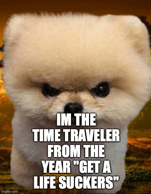 Fluffy, Destroyer of worlds | IM THE TIME TRAVELER FROM THE YEAR "GET A LIFE SUCKERS" | image tagged in fluffy destroyer of worlds | made w/ Imgflip meme maker