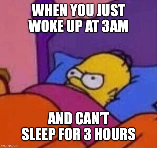 Sleeping feelings | WHEN YOU JUST WOKE UP AT 3AM; AND CAN’T SLEEP FOR 3 HOURS | image tagged in angry homer simpson in bed | made w/ Imgflip meme maker