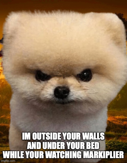 Fluffy, Destroyer of worlds | IM OUTSIDE YOUR WALLS AND UNDER YOUR BED WHILE YOUR WATCHING MARKIPLIER | image tagged in fluffy destroyer of worlds | made w/ Imgflip meme maker