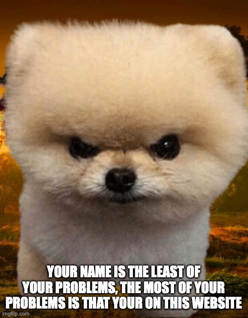 Fluffy, Destroyer of worlds | YOUR NAME IS THE LEAST OF YOUR PROBLEMS, THE MOST OF YOUR PROBLEMS IS THAT YOUR ON THIS WEBSITE | image tagged in fluffy destroyer of worlds | made w/ Imgflip meme maker