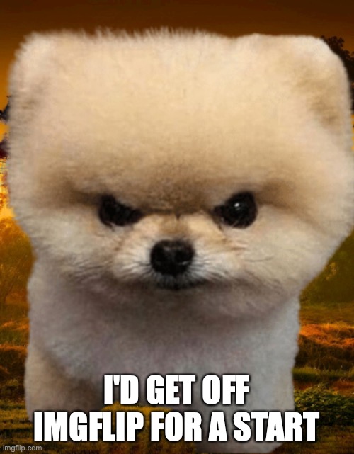 Fluffy, Destroyer of worlds | I'D GET OFF IMGFLIP FOR A START | image tagged in fluffy destroyer of worlds | made w/ Imgflip meme maker
