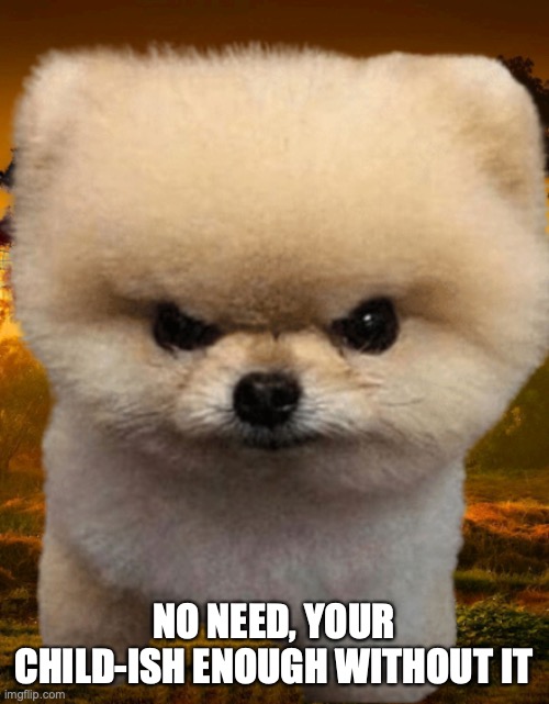 Fluffy, Destroyer of worlds | NO NEED, YOUR CHILD-ISH ENOUGH WITHOUT IT | image tagged in fluffy destroyer of worlds | made w/ Imgflip meme maker