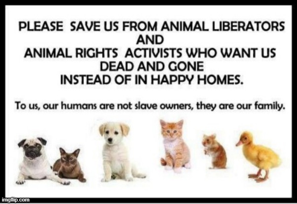 Save pet animals from PETA | image tagged in peta,animals,poor animals,peta sucks | made w/ Imgflip meme maker