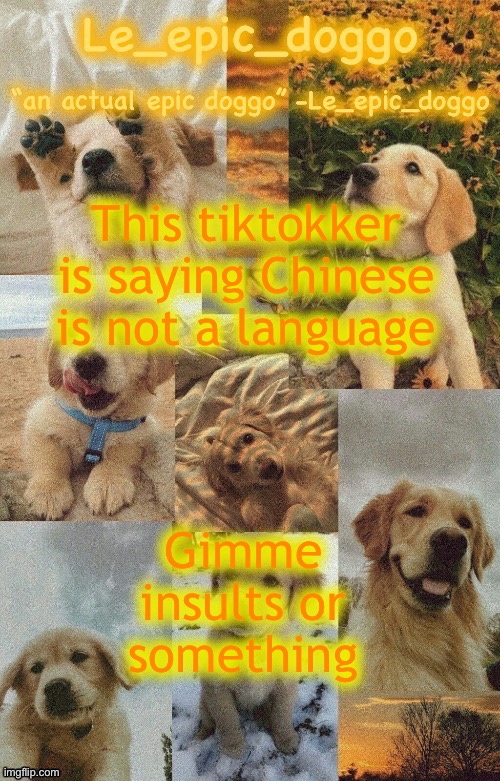 Doggo temp by doggo. Wait what that’s confusing | This tiktokker is saying Chinese is not a language; Gimme insults or something | image tagged in doggo temp by doggo wait what that s confusing | made w/ Imgflip meme maker