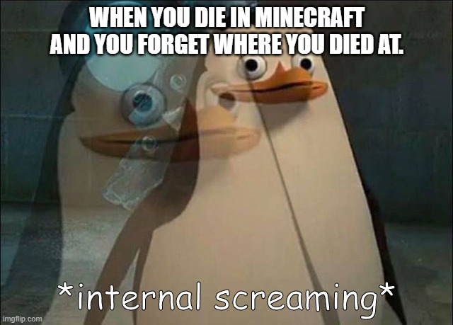 minecraft | WHEN YOU DIE IN MINECRAFT AND YOU FORGET WHERE YOU DIED AT. | image tagged in private internal screaming | made w/ Imgflip meme maker