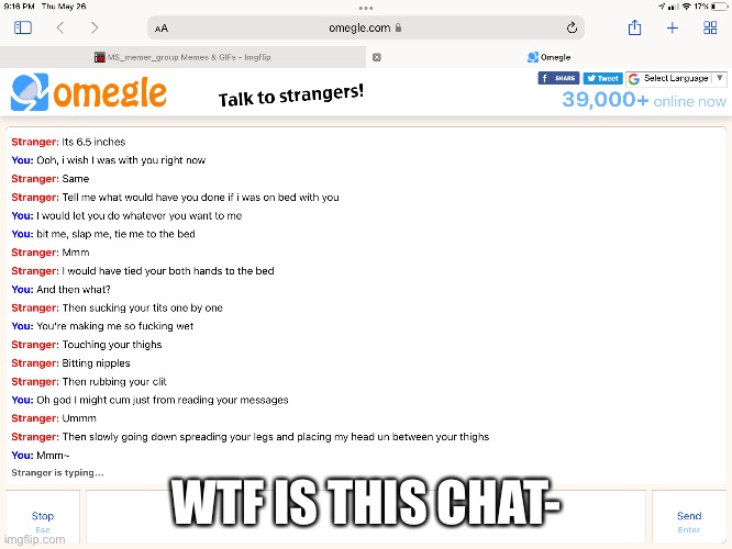 Might Kms after this | WTF IS THIS CHAT- | made w/ Imgflip meme maker