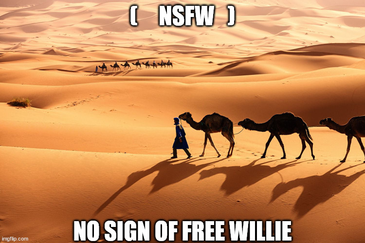 um yea, in the Desert    Probably  NOT! |  (     NSFW   ); NO SIGN OF FREE WILLIE | image tagged in no  free willy,um yea hes not there,nsfw  nope | made w/ Imgflip meme maker