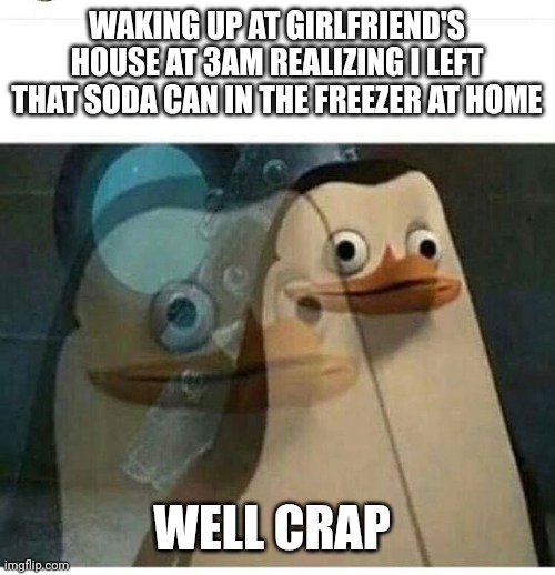 Madagascar Meme | WAKING UP AT GIRLFRIEND'S HOUSE AT 3AM REALIZING I LEFT THAT SODA CAN IN THE FREEZER AT HOME; WELL CRAP | image tagged in madagascar meme | made w/ Imgflip meme maker