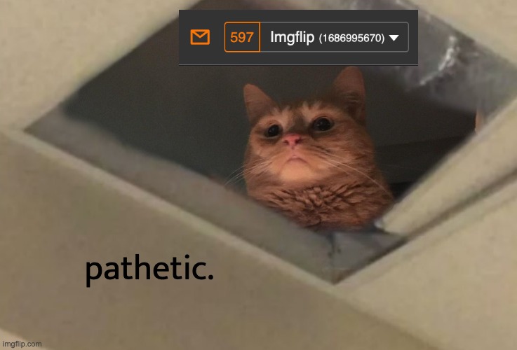 pathetic. | image tagged in cat looking down from ceiling pathetic | made w/ Imgflip meme maker