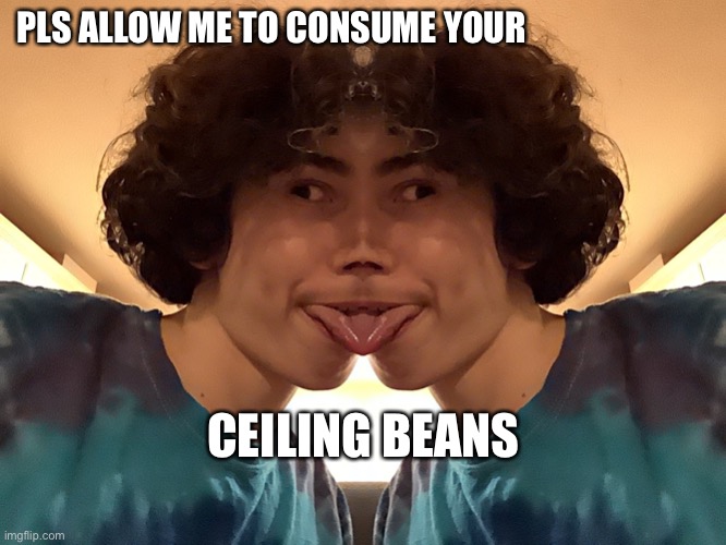 Ceiling Beans - Wsoybean | PLS ALLOW ME TO CONSUME YOUR; CEILING BEANS | image tagged in ceilickshbeumlbe,beans,ceiling beans,weird,wsoybean,lick | made w/ Imgflip meme maker